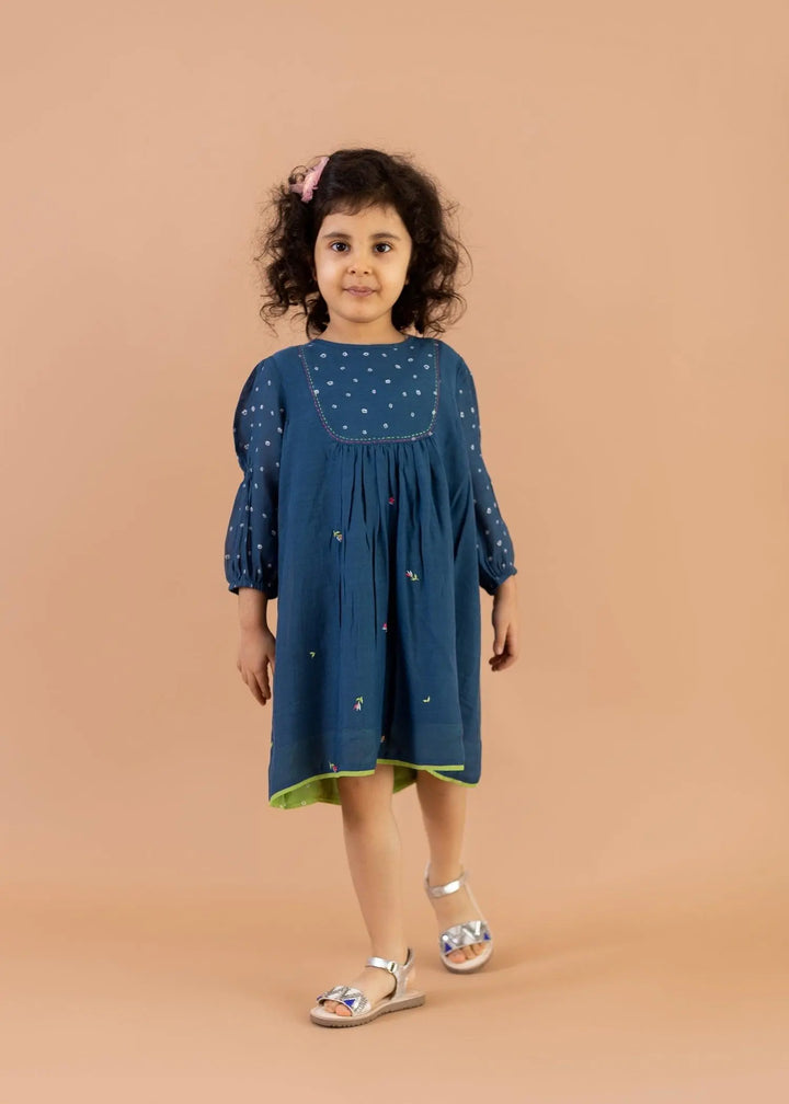Blue Uri Embroidered Dress (2-12 Years)