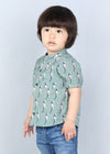 Harshit Shirt Tota Sage Cotton Baby Boy (6 months to 24 months)