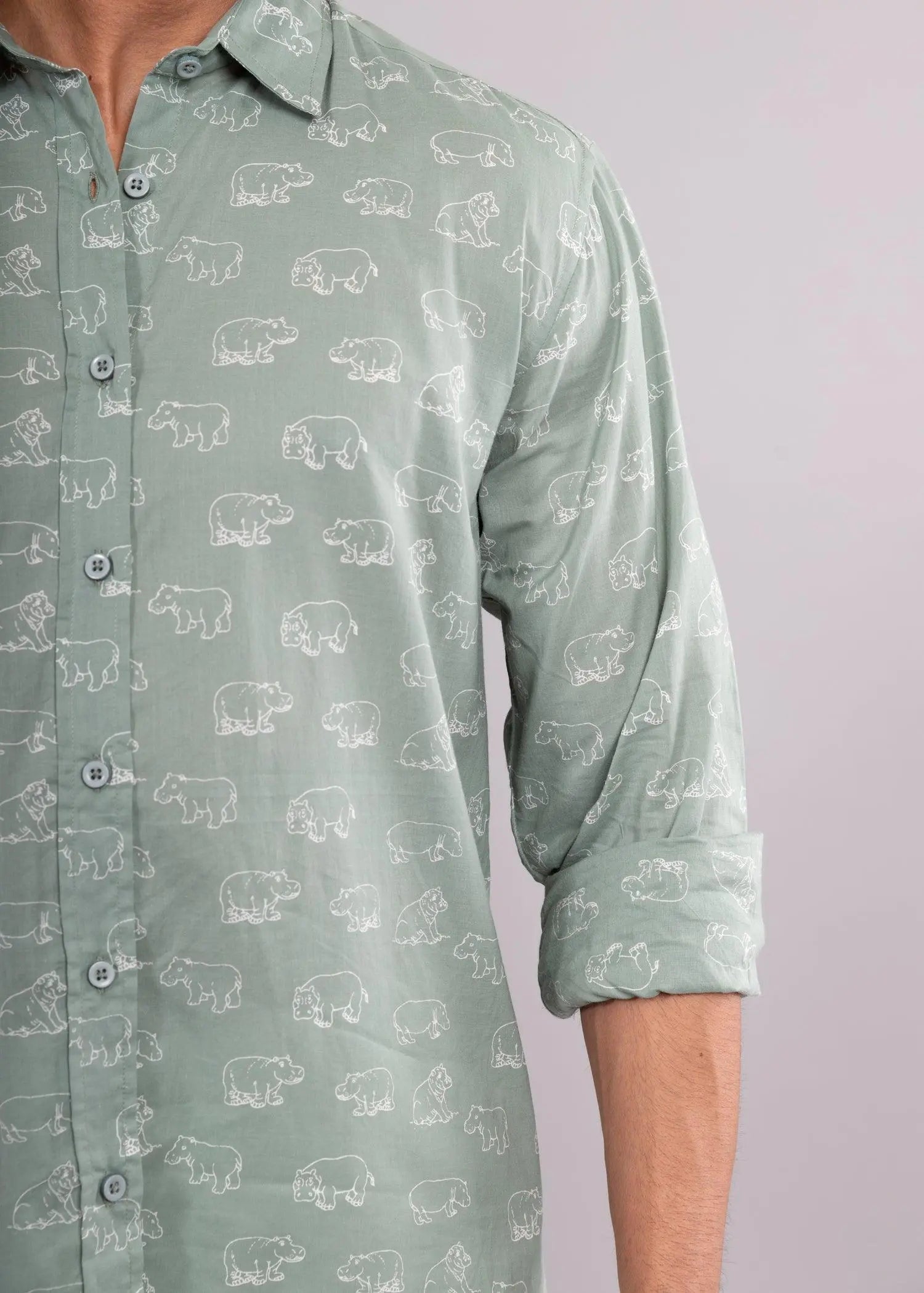 Green/Cream Regular Cotton Full Sleeves Shirt