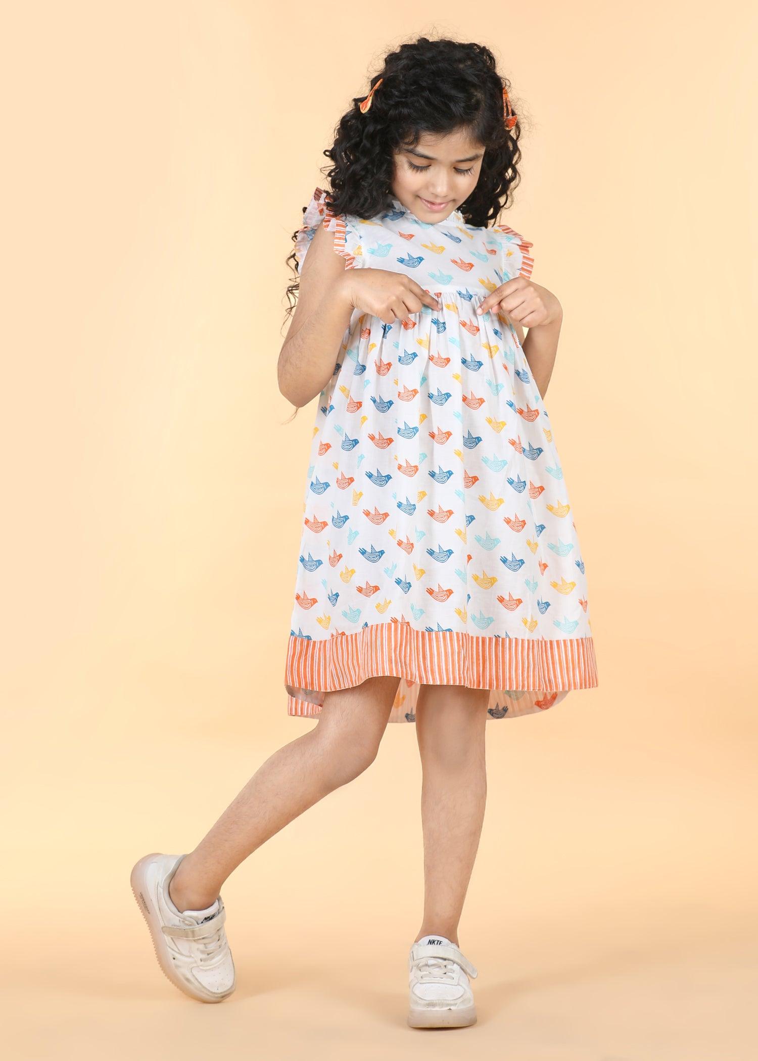 Multi Cotton Meera Dress