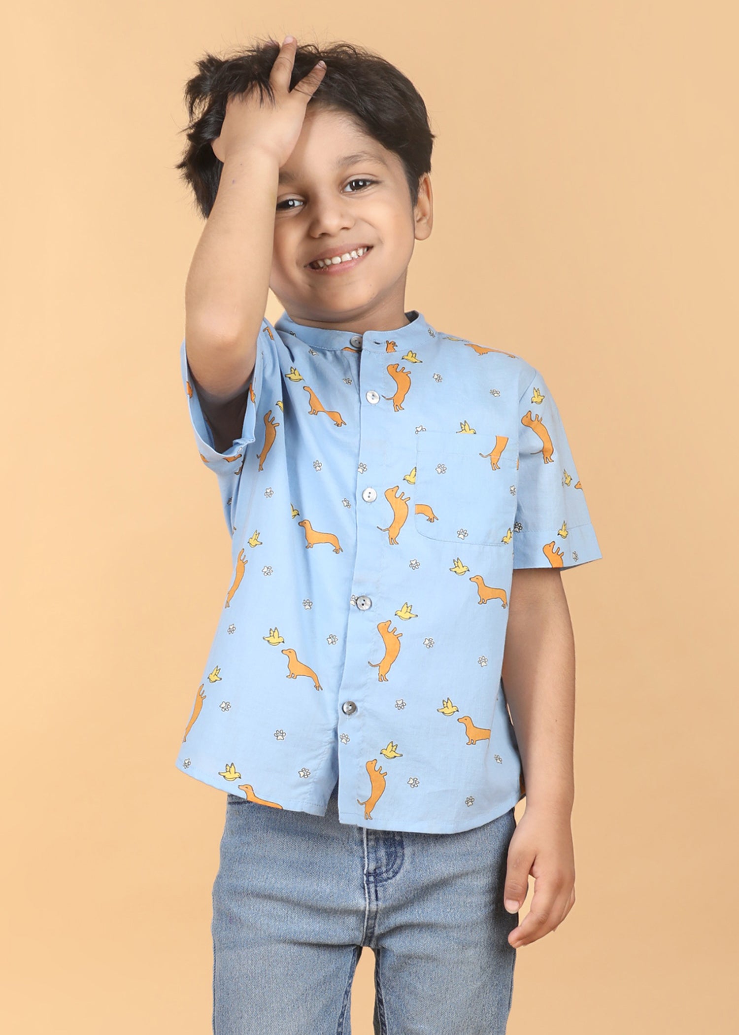 Dog Play Blue Cotton Boys Shirt (6 Months-12 Years)