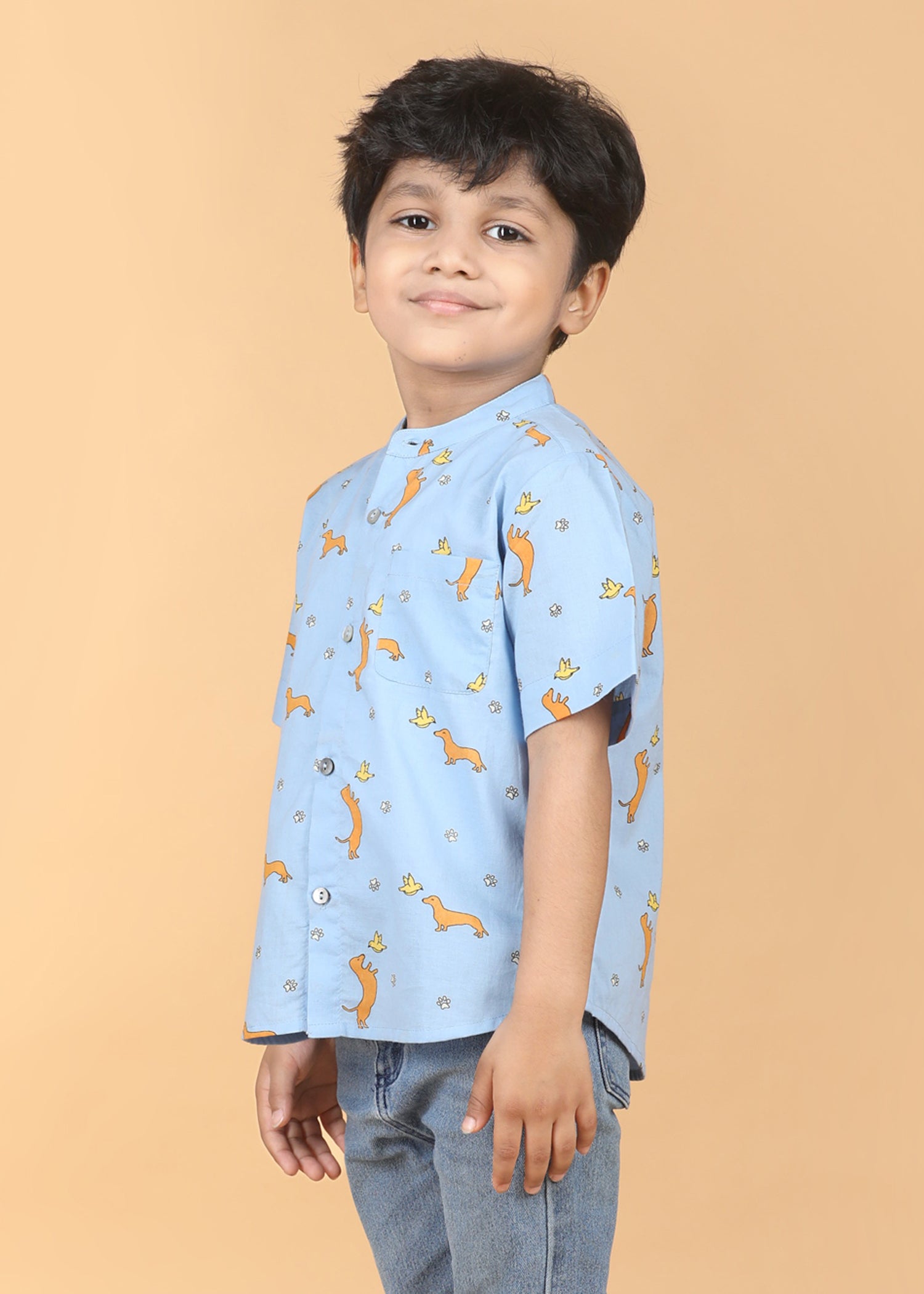 Dog Play Blue Cotton Boys Shirt (6 Months-12 Years)