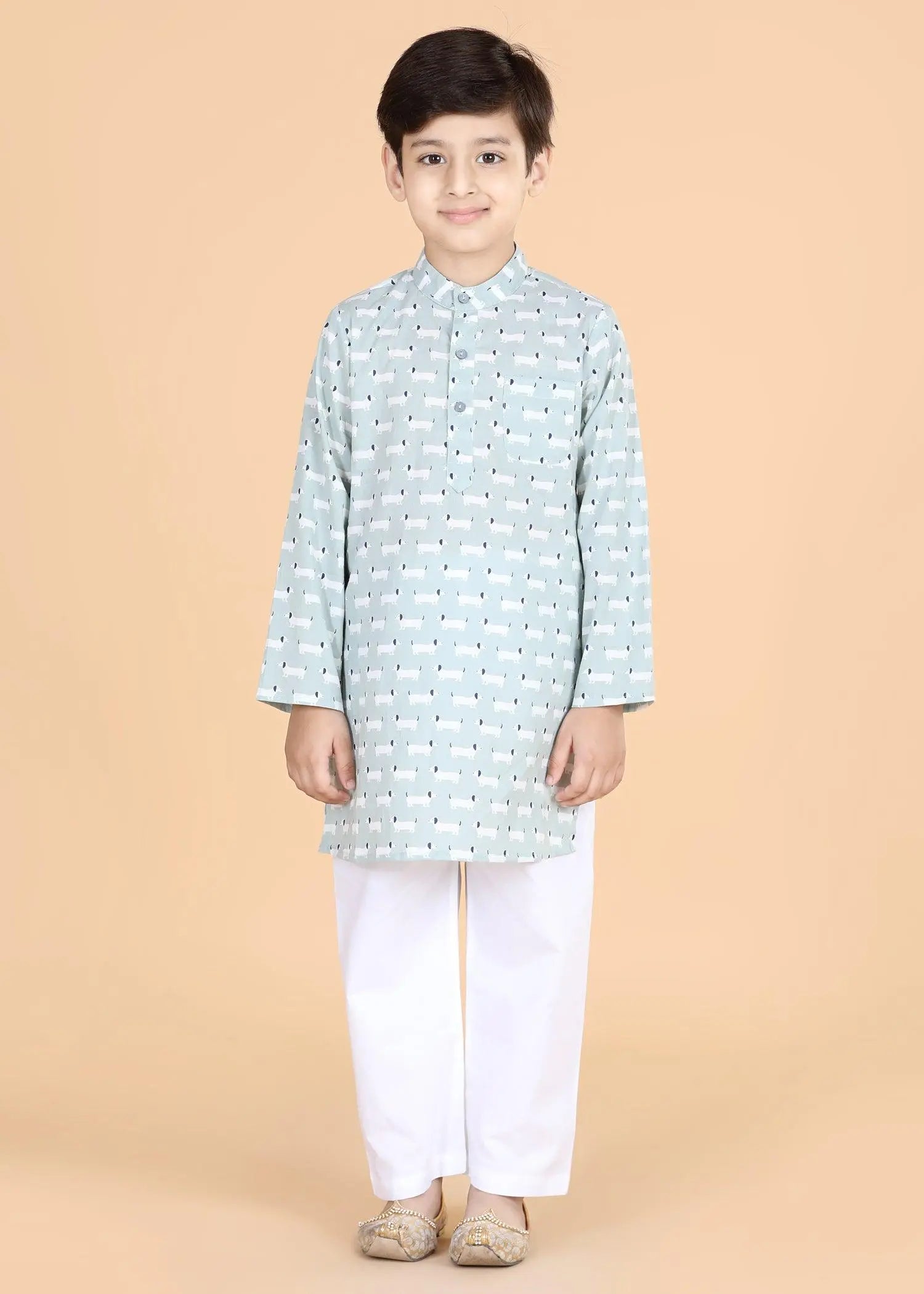 Dachshund Grey Cotton Kurta Boys (2-12 Yrs)
