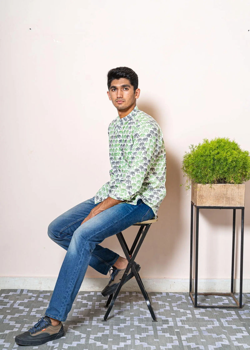 Elephant Cream And Light Green Cotton Chinese Collar Full Sleeves Shirt